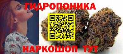 ПСИЛОЦИБИНОВЫЕ ГРИБЫ Шахты