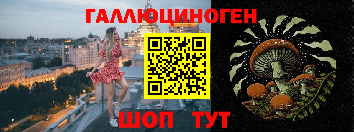 Галлюциногенные грибы MAGIC MUSHROOMS Белово